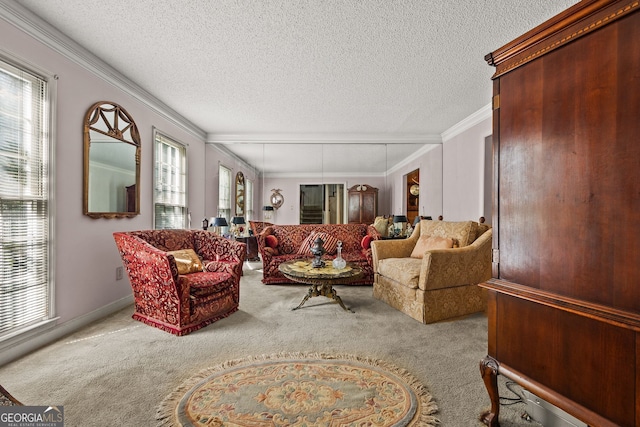 2810 Jodeco Ter, Jonesboro, GA 30236 - carpeted living room with ornamental molding and a textured ceiling