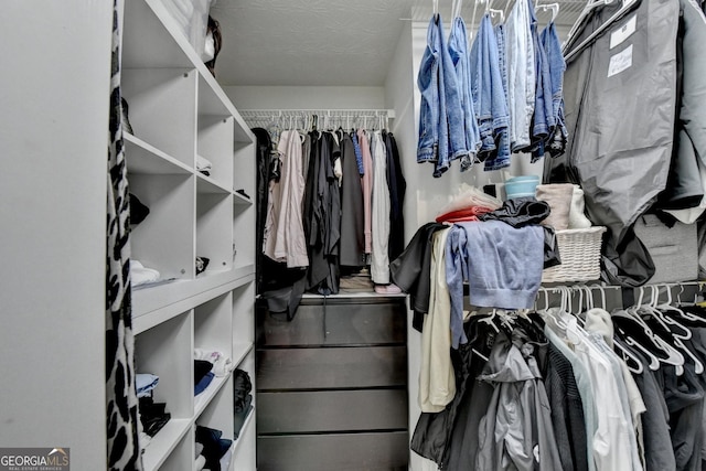 3668 Burel Mill Dr, Buford, GA 30519 - view of spacious closet