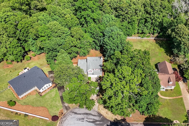 bird's eye view
