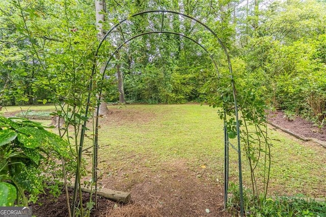 4171 Whispering Forest Ct SW, Lilburn, GA 30047 - view of yard