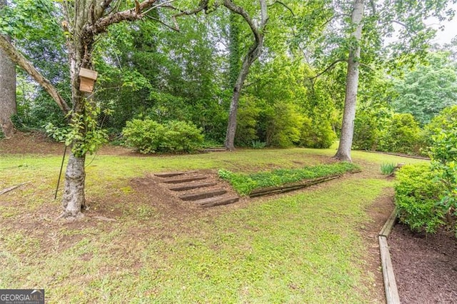 4171 Whispering Forest Ct SW, Lilburn, GA 30047 - view of green lawn