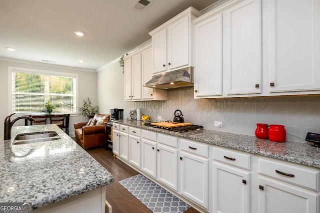 4832 Stone Way Path, Buford, GA 30519 - kitchen with under cabinet range hood, a sink, stainless steel gas stovetop, tasteful backsplash, and crown molding