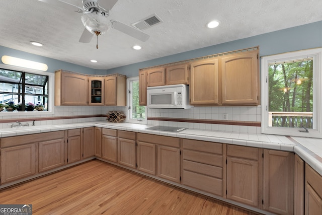 312 Flat Shoals Church Rd, Stockbridge, GA 30281 - kitchen featuring white microwave, black electric stovetop, a sink, light wood-type flooring, and healthy amount of natural light
