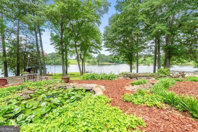 312 Flat Shoals Church Rd, Stockbridge, GA 30281 - view of yard featuring a water view