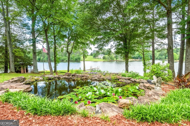 312 Flat Shoals Church Rd, Stockbridge, GA 30281 - water view