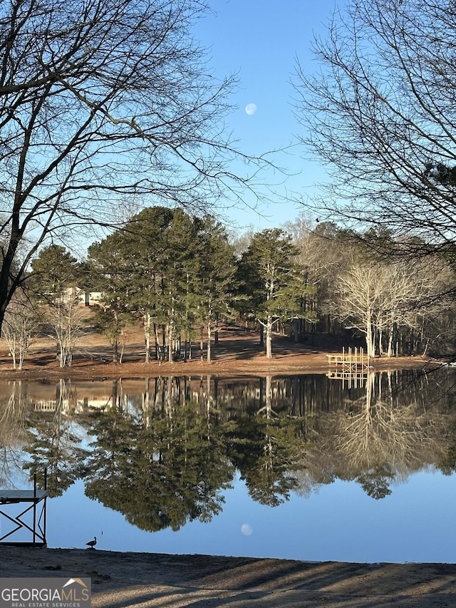 312 Flat Shoals Church Rd, Stockbridge, GA 30281 - water view