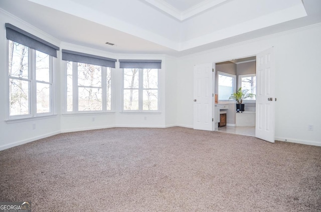 6450 Oak Valley Dr, Cumming, GA 30040 - unfurnished room with carpet flooring, a tray ceiling, and crown molding
