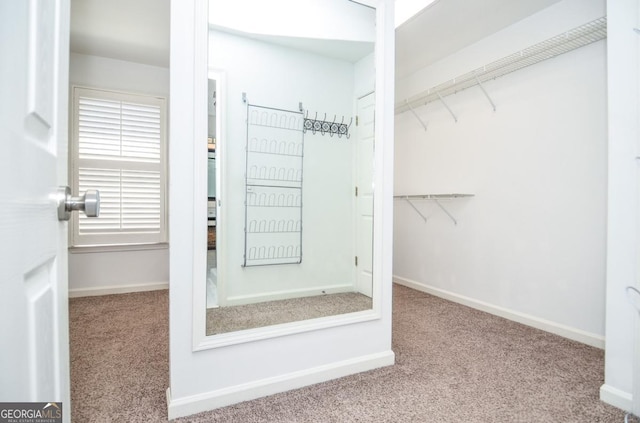 6450 Oak Valley Dr, Cumming, GA 30040 - spacious closet with carpet floors