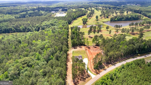 1356 Waymanville Rd, Thomaston, GA 30286 - bird's eye view of a large body of water and a heavily wooded area