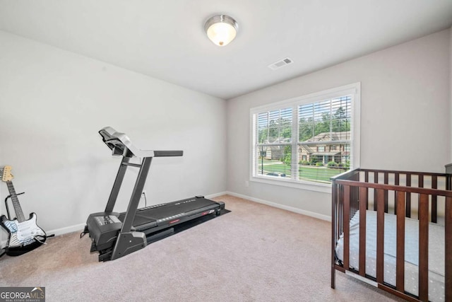 3230 Sundew Dr NW, Acworth, GA 30101 - workout area featuring baseboards and carpet flooring