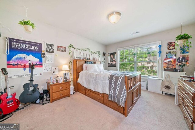 3230 Sundew Dr NW, Acworth, GA 30101 - bedroom featuring light colored carpet