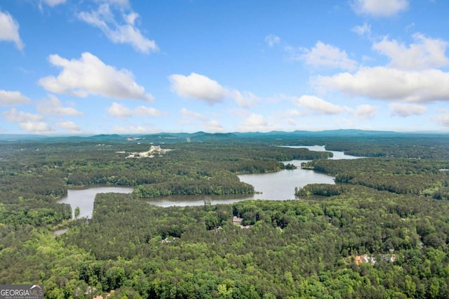 3230 Sundew Dr NW, Acworth, GA 30101 - bird's eye view of a forest and a large body of water