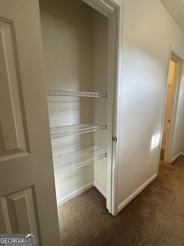 218 Osmanthus Way, Canton, GA 30114 - view of closet