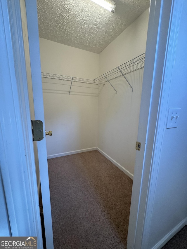 218 Osmanthus Way, Canton, GA 30114 - spacious closet with carpet