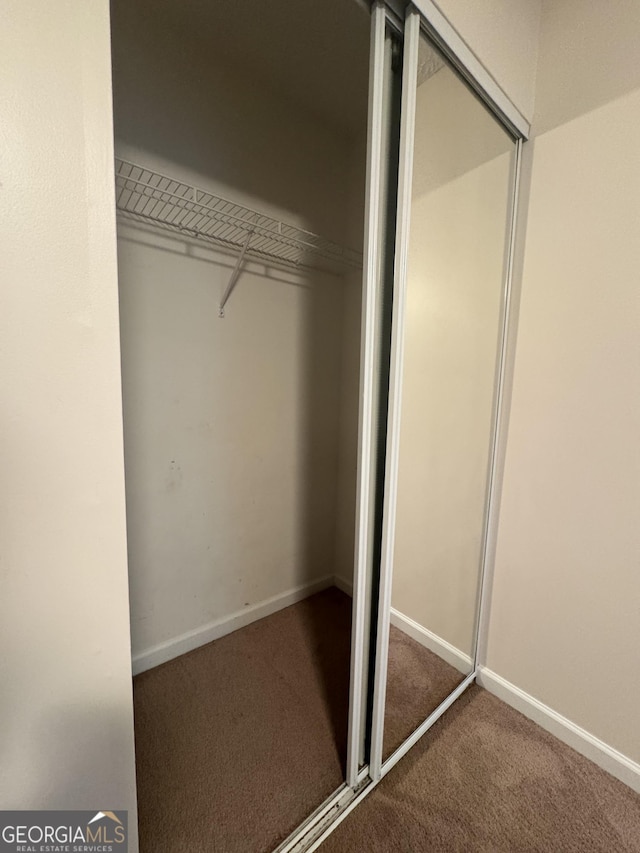 218 Osmanthus Way, Canton, GA 30114 - view of closet