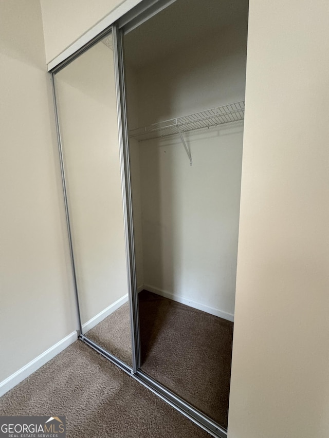 218 Osmanthus Way, Canton, GA 30114 - view of closet