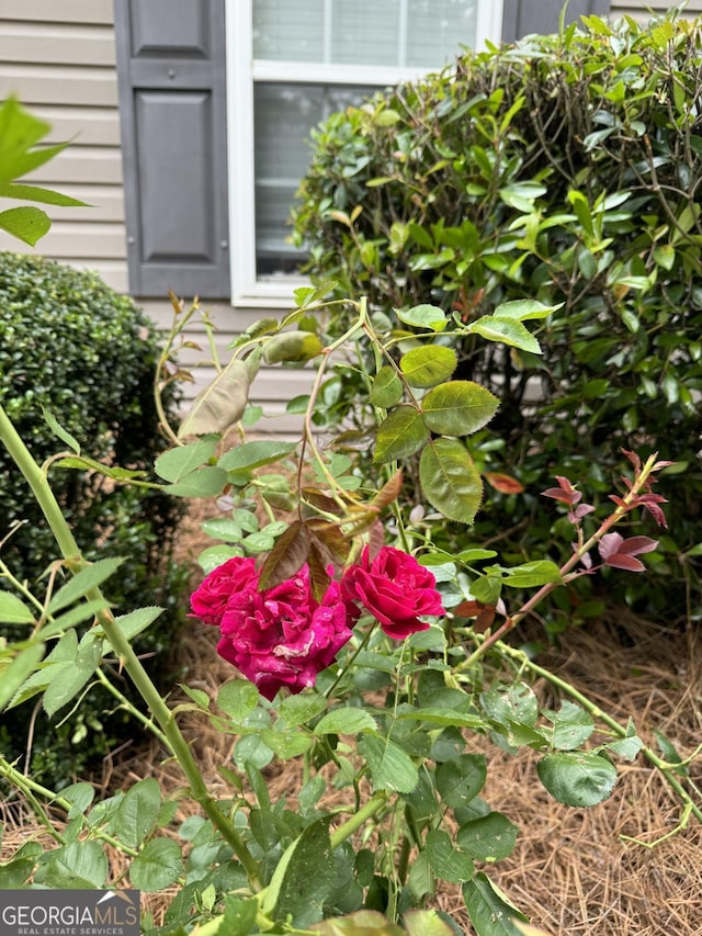 218 Osmanthus Way, Canton, GA 30114 - exterior view