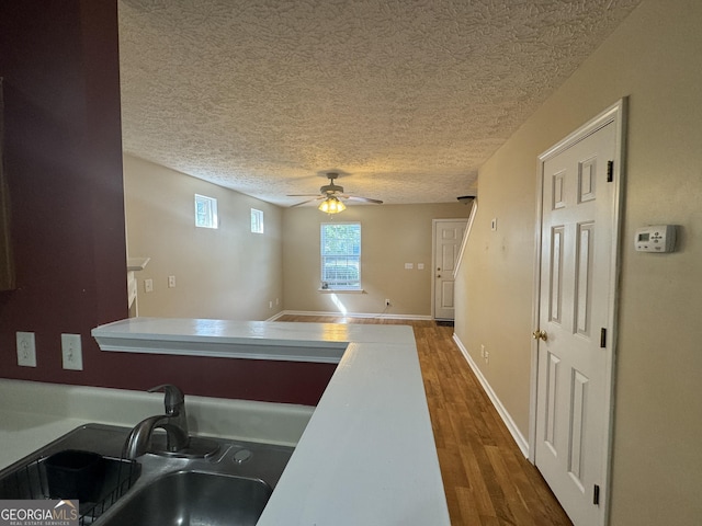 218 Osmanthus Way, Canton, GA 30114 - kitchen with a sink, ceiling fan, dark wood finished floors, and a textured ceiling