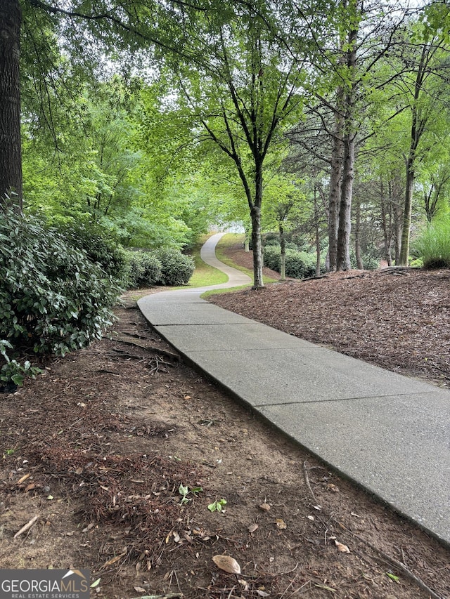 218 Osmanthus Way, Canton, GA 30114 - view of home's community