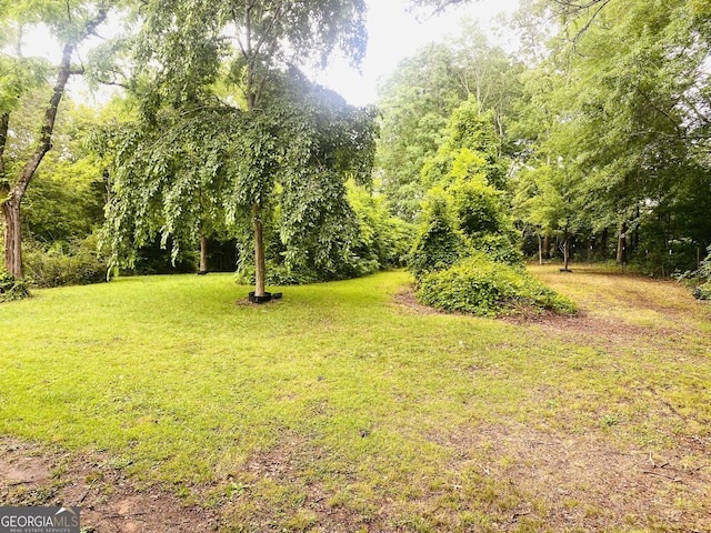 66 Kristys Path Dr, Eastanollee, GA 30538 - view of grassy yard
