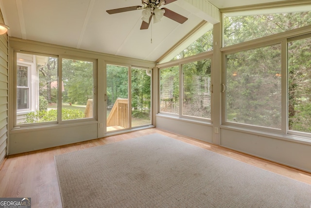 unfurnished sunroom featuring healthy amount of natural light and wood finished floors