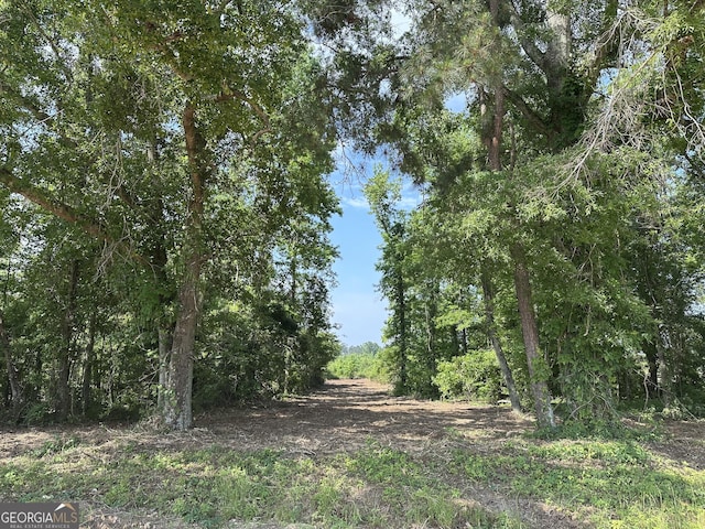 04 Pine Hill Church Rd, Waynesboro, GA 30830