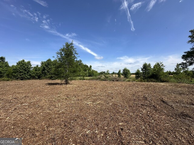 04 Pine Hill Church Rd, Waynesboro, GA 30830