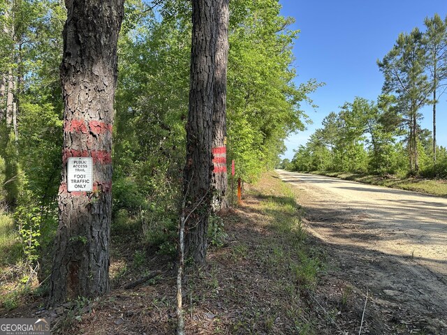 04 Pine Hill Church Rd, Waynesboro, GA 30830