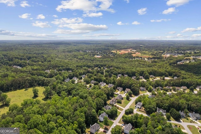 bird's eye view of a forest