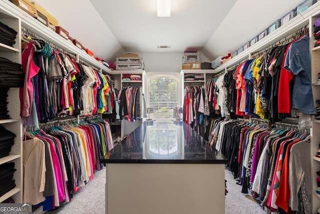 1029 Laurel Grove Cts, Suwanee, GA 30024 - spacious closet with light colored carpet and lofted ceiling