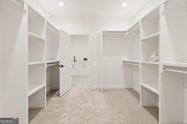 108 Branch Creek Rd, Woodbine, GA 31569 - spacious closet with light colored carpet