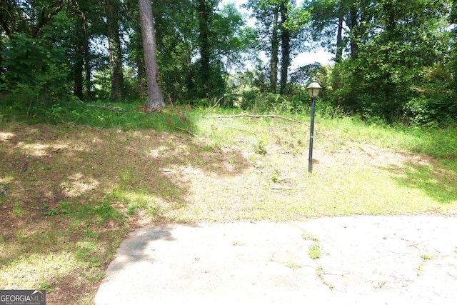 579 Kenridge Cir, Stone Mountain, GA 30083 - view of yard
