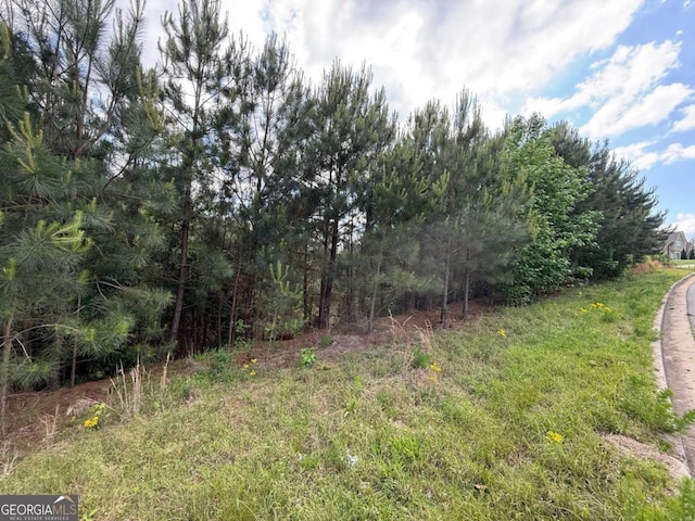 40 Arbor Springs Pkwy, Newnan, GA 30265