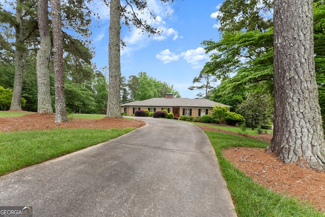 single story home featuring a chimney, curved driveway, and a front lawn