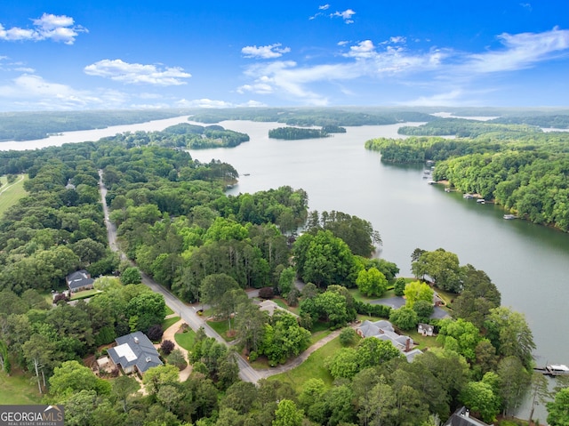 drone / aerial view of a large body of water