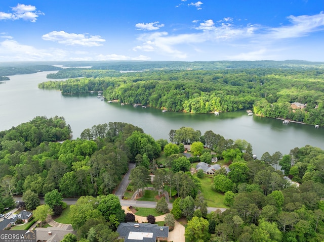 bird's eye view of a nearby body of water and a forest