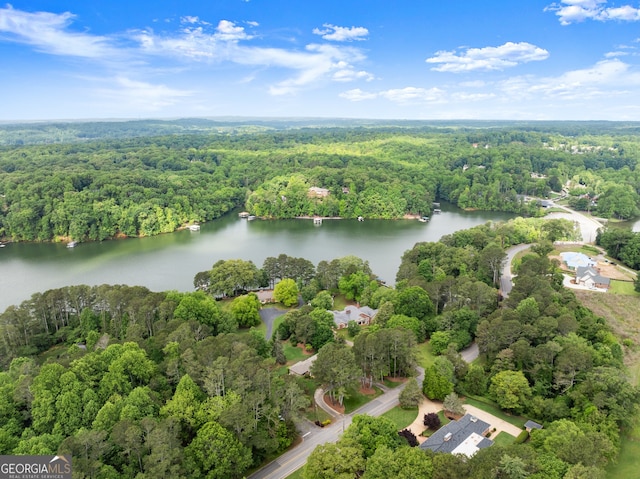 aerial view of property's location featuring a forest and a nearby body of water
