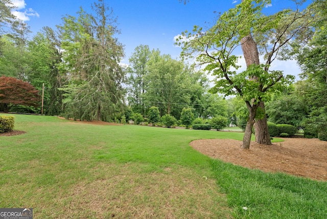 view of green lawn