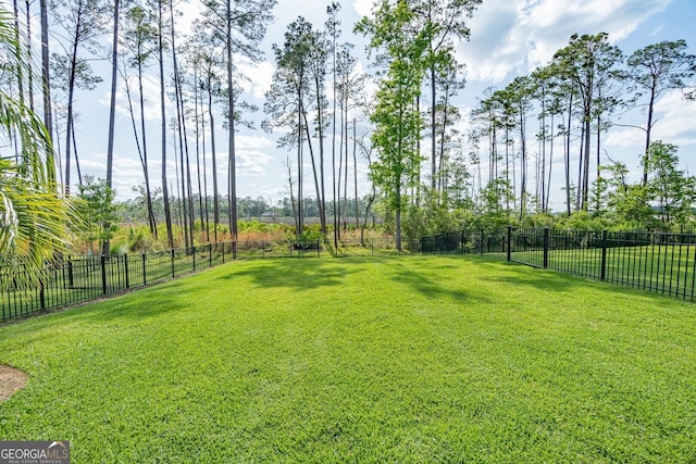 133 Ryan Nicholas Dr, Kingsland, GA 31548 - view of yard
