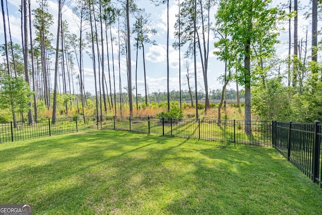 133 Ryan Nicholas Dr, Kingsland, GA 31548 - view of yard