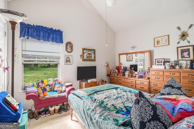 643 Lora Smith Rd, Newnan, GA 30265 - carpeted bedroom featuring high vaulted ceiling