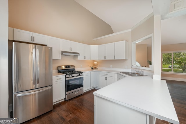 102 Peaceful Vw, Acworth, GA 30102 - kitchen featuring appliances with stainless steel finishes, under cabinet range hood, a peninsula, dark wood-style flooring, and high vaulted ceiling