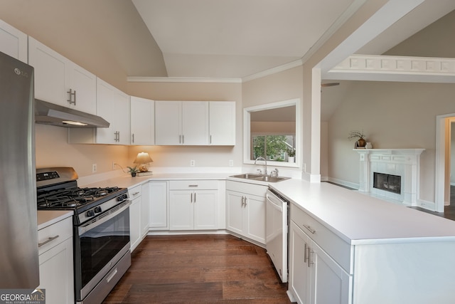 102 Peaceful Vw, Acworth, GA 30102 - kitchen featuring appliances with stainless steel finishes, under cabinet range hood, a peninsula, light countertops, and white cabinets