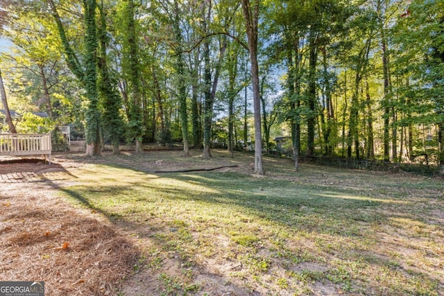 4045 White Oak Ln SW, Lilburn, GA 30047 - view of green lawn