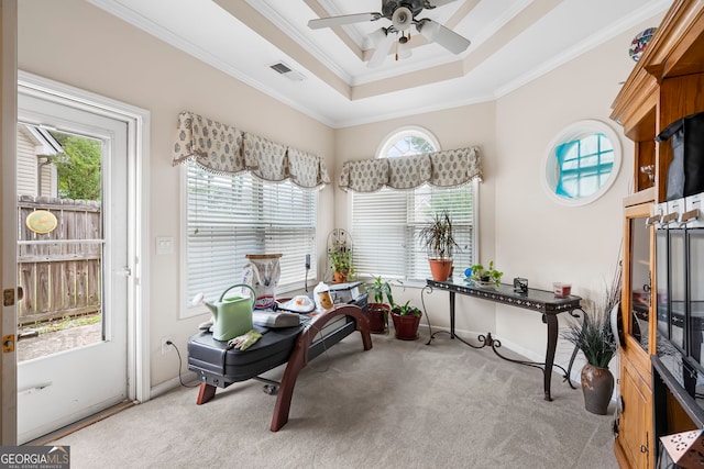 carpeted office with ornamental molding, a raised ceiling, and a ceiling fan