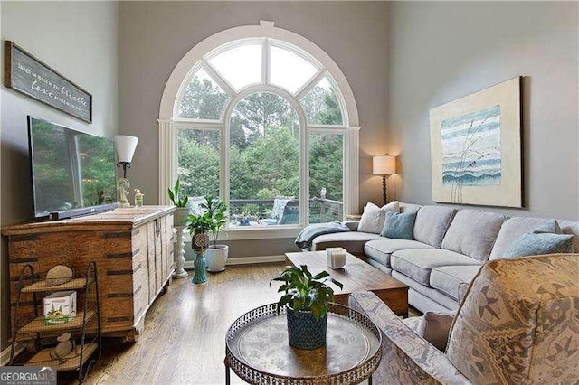living room with wood finished floors and a towering ceiling