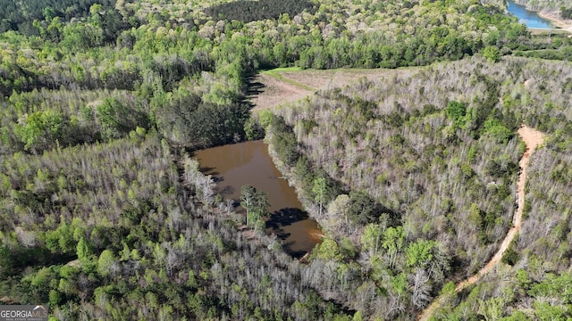 402 Wildcat Rd, Buchanan, GA 30113