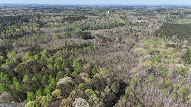 402 Wildcat Rd, Buchanan, GA 30113