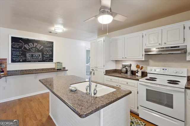 2507 Wateringhole Ct, Statesboro, GA 30458 - kitchen featuring white electric range oven, under cabinet range hood, a sink, light wood-style flooring, and ceiling fan