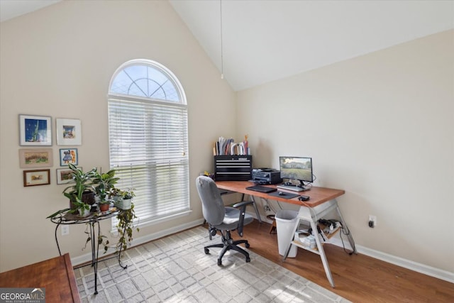 2507 Wateringhole Ct, Statesboro, GA 30458 - office space featuring baseboards, wood finished floors, and high vaulted ceiling